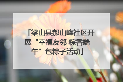 梁山县郝山峰社区开展“幸福友邻 粽香端午”包粽子活动