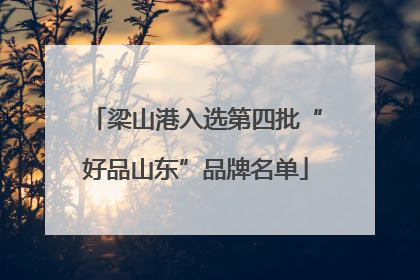 梁山港入选第四批“好品山东”品牌名单