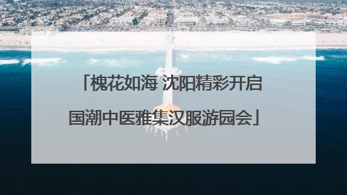 槐花如海 沈阳精彩开启国潮中医雅集汉服游园会