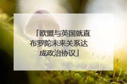 欧盟与英国就直布罗陀未来关系达成政治协议