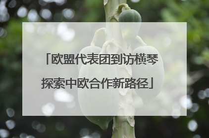 欧盟代表团到访横琴 探索中欧合作新路径