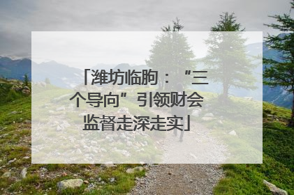 潍坊临朐：“三个导向”引领财会监督走深走实