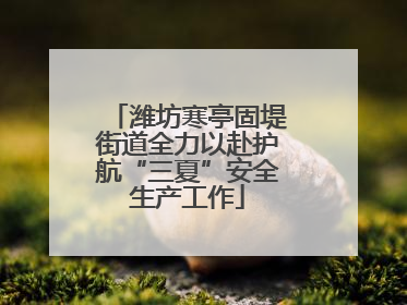 潍坊寒亭固堤街道全力以赴护航“三夏”安全生产工作