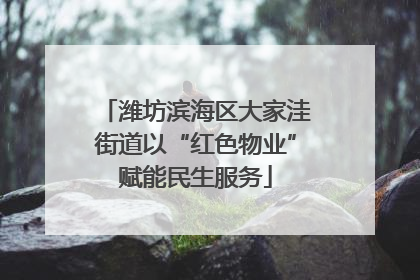 潍坊滨海区大家洼街道以“红色物业”赋能民生服务