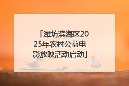 潍坊滨海区2025年农村公益电影放映活动启动