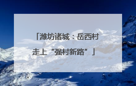 潍坊诸城：岳西村走上“强村新路”