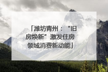潍坊青州：“旧房焕新”激发住房领域消费新动能
