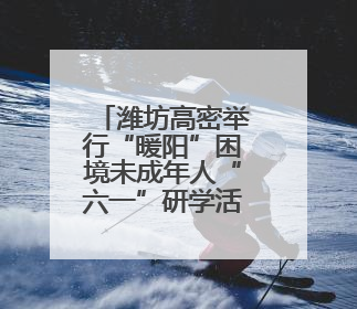 潍坊高密举行“暖阳”困境未成年人“六一”研学活动