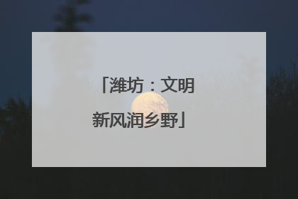 潍坊：文明新风润乡野