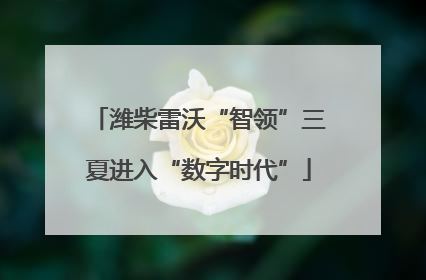 潍柴雷沃“智领”三夏进入“数字时代”