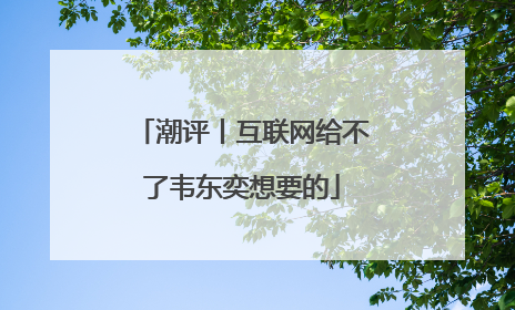 潮评丨互联网给不了韦东奕想要的