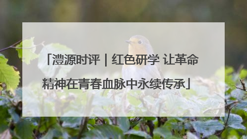 澧源时评｜红色研学 让革命精神在青春血脉中永续传承