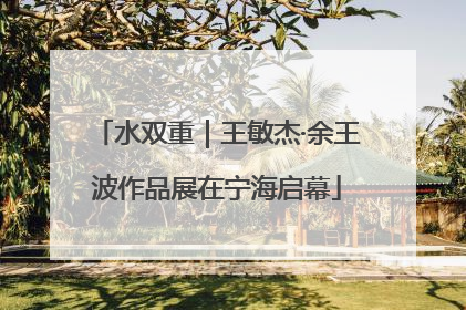 水双重｜王敏杰·余王波作品展在宁海启幕