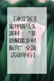 永定区王家坪镇马头溪村：“非遗赋能乡村振兴”交流活动举行