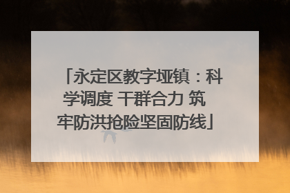 永定区教字垭镇：科学调度 干群合力 筑牢防洪抢险坚固防线