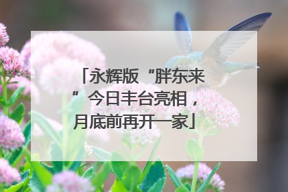 永辉版“胖东来”今日丰台亮相，月底前再开一家