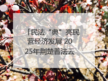 民法“典”亮民营经济发展 2025年荆楚普法云课堂第二期在武汉客厅开讲