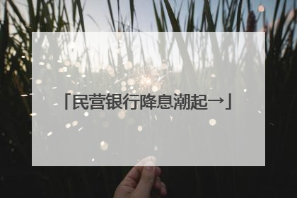 民营银行降息潮起→
