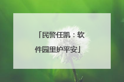 民警任凯：软件园里护平安