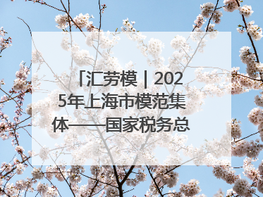汇劳模｜2025年上海市模范集体——国家税务总局上海市徐汇区税务局第一税务所