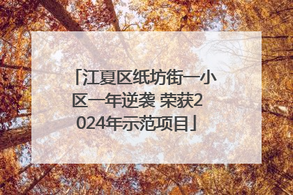 江夏区纸坊街一小区一年逆袭 荣获2024年示范项目