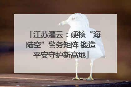江苏灌云：硬核“海陆空”警务矩阵 锻造平安守护新高地