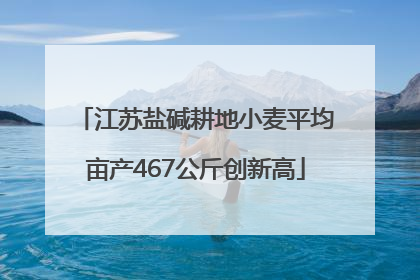 江苏盐碱耕地小麦平均亩产467公斤创新高
