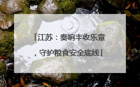 江苏：奏响丰收乐章，守护粮食安全底线