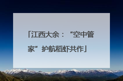 江西大余：“空中管家”护航稻虾共作