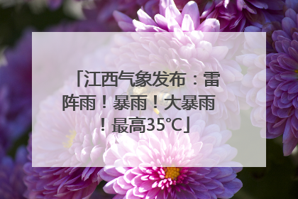 江西气象发布：雷阵雨！暴雨！大暴雨！最高35℃