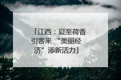 江西：夏至荷香引客来 “美丽经济”添新活力