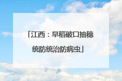 江西：早稻破口抽穗 统防统治防病虫