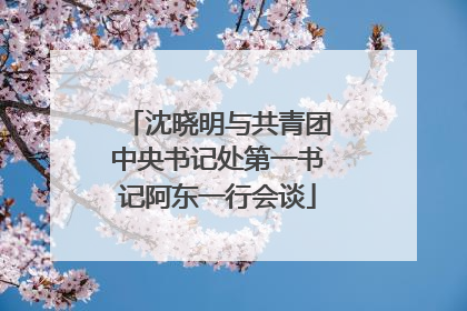 沈晓明与共青团中央书记处第一书记阿东一行会谈