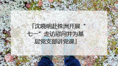 沈晓明赴株洲开展“七一”走访慰问并为基层党支部讲党课