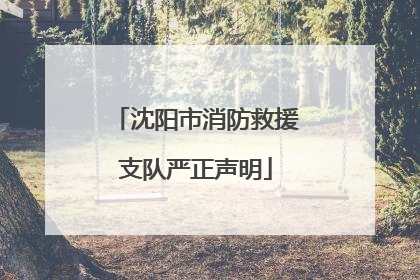 沈阳市消防救援支队严正声明
