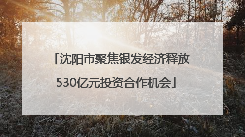 沈阳市聚焦银发经济释放530亿元投资合作机会