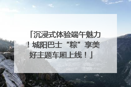 沉浸式体验端午魅力！城阳巴士“粽”享美好主题车厢上线！