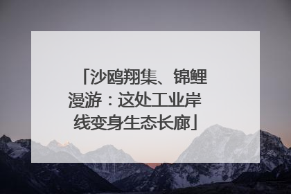 沙鸥翔集、锦鲤漫游：这处工业岸线变身生态长廊