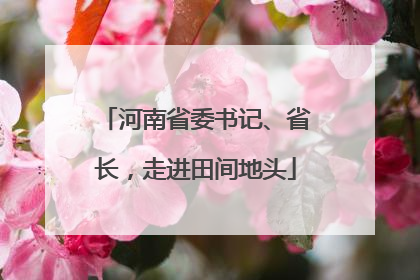 河南省委书记、省长，走进田间地头