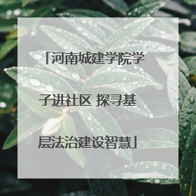 河南城建学院学子进社区 探寻基层法治建设智慧