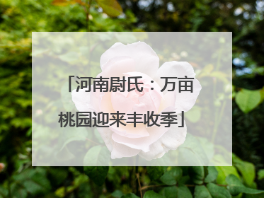 河南尉氏：万亩桃园迎来丰收季