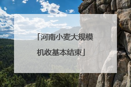 河南小麦大规模机收基本结束