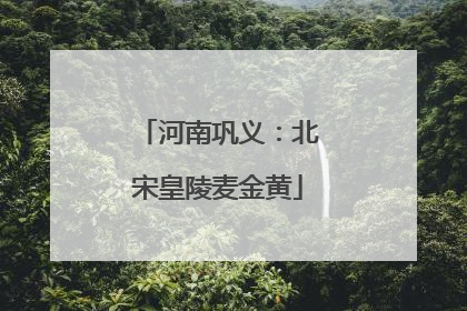河南巩义：北宋皇陵麦金黄