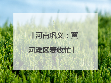 河南巩义：黄河滩区麦收忙