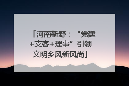 河南新野：“党建+支客+理事”引领文明乡风新风尚