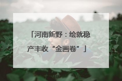 河南新野：绘就稳产丰收“金画卷”