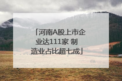 河南A股上市企业达111家 制造业占比超七成