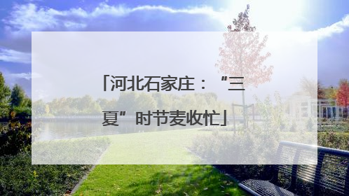 河北石家庄：“三夏”时节麦收忙