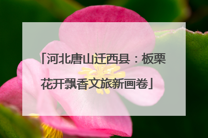 河北唐山迁西县：板栗花开飘香文旅新画卷