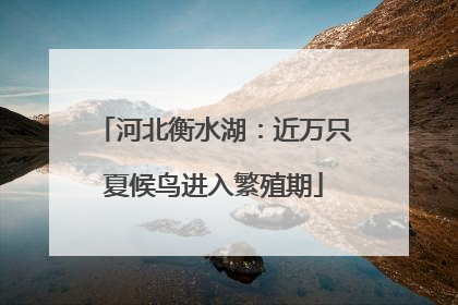 河北衡水湖：近万只夏候鸟进入繁殖期